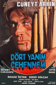 Dört Yanım Cehennem Online En Netflix