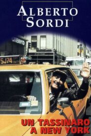 Un tassinaro a New York Online En Netflix
