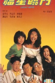 福星臨門 Online En Netflix