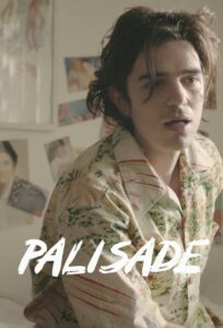 Palisade Online En Netflix
