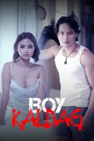 Boy Kaldag Online En Netflix
