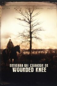 Entierren Mi Corazón En Wounded Knee Online En Netflix