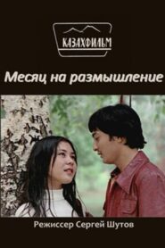 Ойлануға кеткен ай Online En Netflix