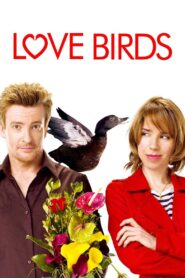 Love Birds Online En Netflix