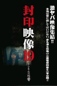 封印映像19 トンネルの怨響 Online En Netflix
