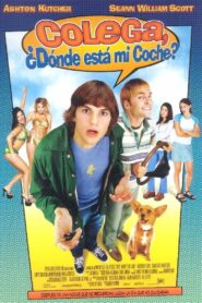 Hey, ¿dónde está mi auto? Online En Netflix