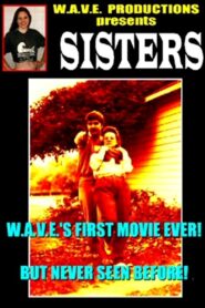 Sisters Online En Netflix