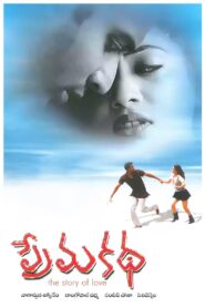 ప్రేమ కథ Online En Netflix