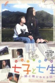 七子と七生 ~姉と弟になれる日~ Online En Netflix