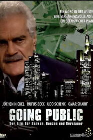Going Public Online En Netflix