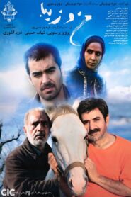 من و زیبا Online En Netflix