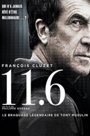 11.6 Online En Netflix
