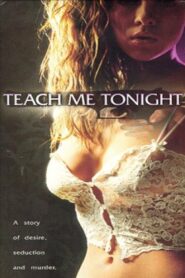 Teach Me Tonight Online En Netflix