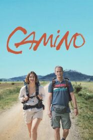 Camino Online En Netflix