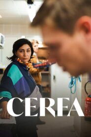 Cerfa Online En Netflix