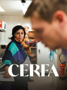 Cerfa Online En Netflix