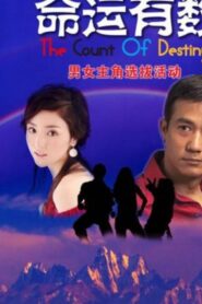 命運有數 Online En Netflix