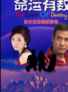 命運有數 Online En Netflix