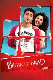 ब्रेक के बाद Online En Netflix