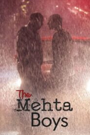द मेहता बॉयज Online En Netflix