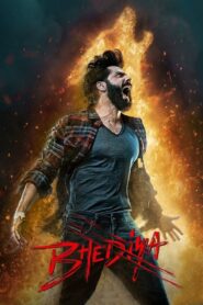 भेड़िया Online En Netflix