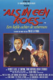 Als in een roes… Online En Netflix