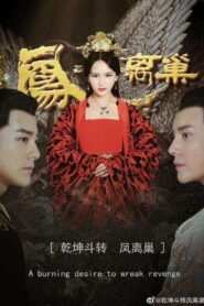 乾坤斗转凤巢离 Online En Netflix