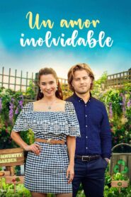 A Love to Remember Online En Netflix
