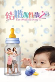 结婚那件事之后 Online En Netflix