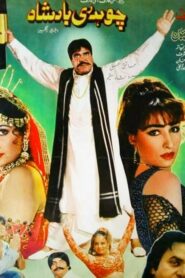 Chaudhry Badshah Online En Netflix