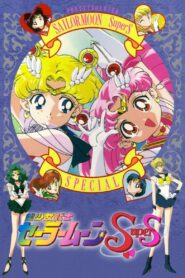 美少女戦士セーラームーンSuperS スペシャル! Online En Netflix