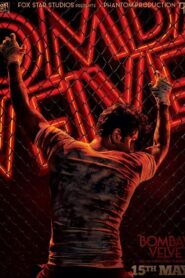 बॉम्बे वेलवेट Online En Netflix