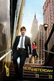 New Amsterdam 2008 En Netflix