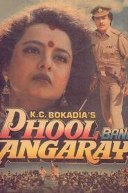 Phool Bane Angaray Online En Netflix