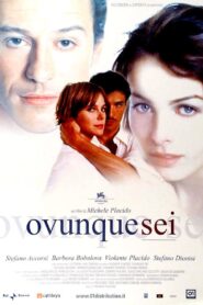 Ovunque sei Online En Netflix