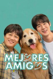 Mejores Amigos Online En Netflix