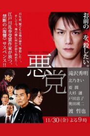 悪党 Online En Netflix