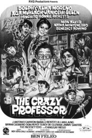 The Crazy Professor Online En Netflix