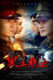 黑土热血 2017 En Netflix