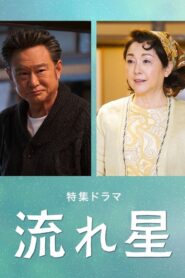流れ星 Online En Netflix