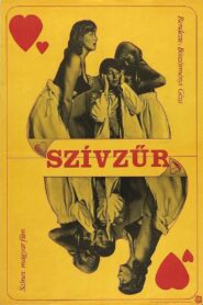 Szívzűr Online En Netflix