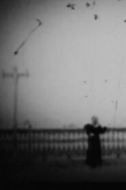 Il tango della neve Online En Netflix
