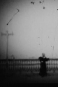 Il tango della neve Online En Netflix
