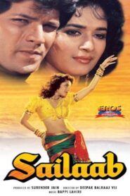 Sailaab Online En Netflix