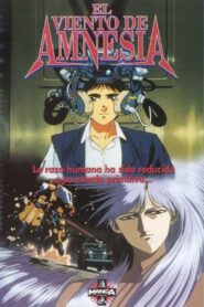 風の名はアムネジア Online En Netflix