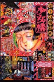 Midori Online En Netflix