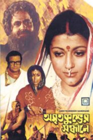 Amrita Kumbher Sandhaney Online En Netflix