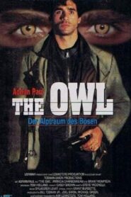 The Owl Online En Netflix