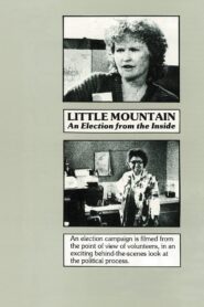 Little Mountain: An Election from the Inside Online En Netflix