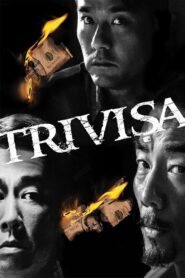 樹大招風 Online En Netflix